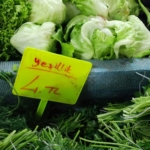 Fresh herbs on Marmaris food markets