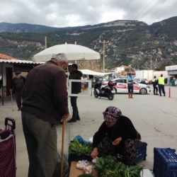 Food Market in Gokova