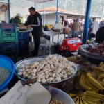 Mushrooms on Food Market