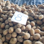 Potatoes on food market