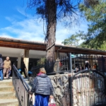 Marmaris Sunday Market