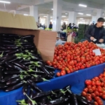 Marmaris Sunday Market