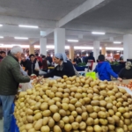 Marmaris Sunday Market