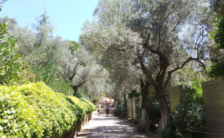 The House of Virgin Mary