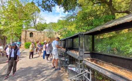 The House of Virgin Mary